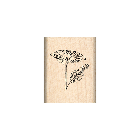 Queen Anne's Lace Rubber Stamp 1" x 1.25" block