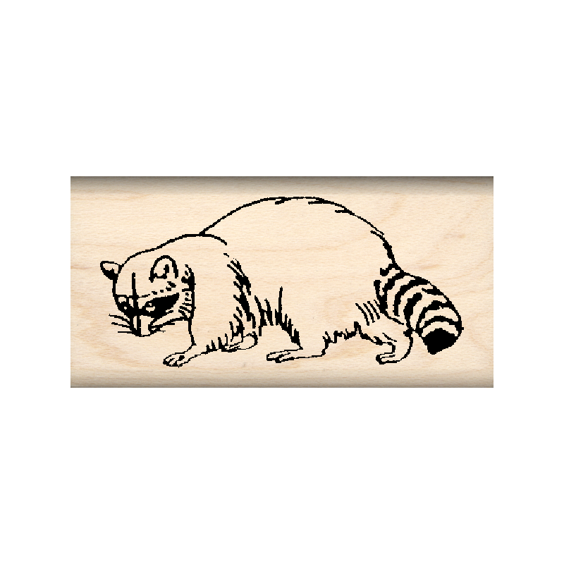 Raccoon Rubber Stamp 1" x 1.75" block