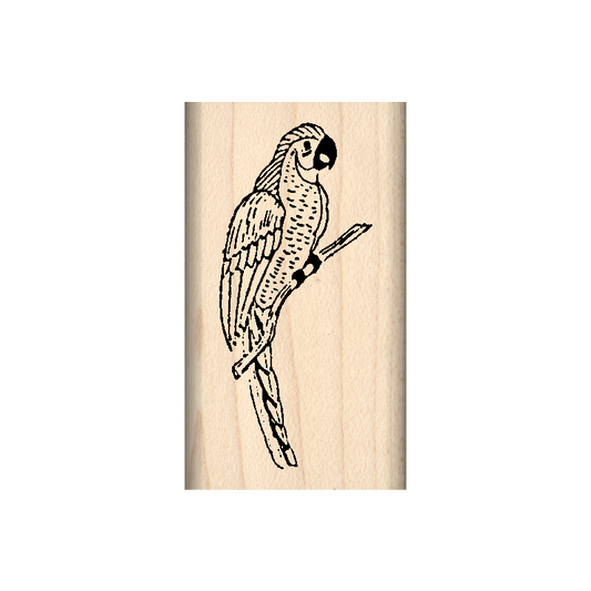 Parrot Rubber Stamp 1" x 1.75" block