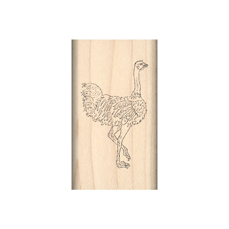 Ostrich Rubber Stamp 1" x 1.75" block