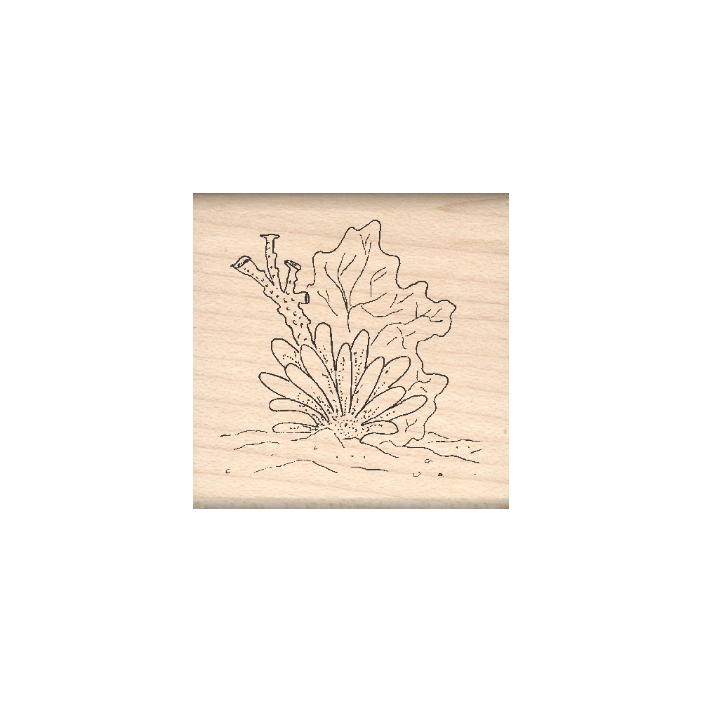 Coral Rubber Stamp 1.5" x 1.5" block