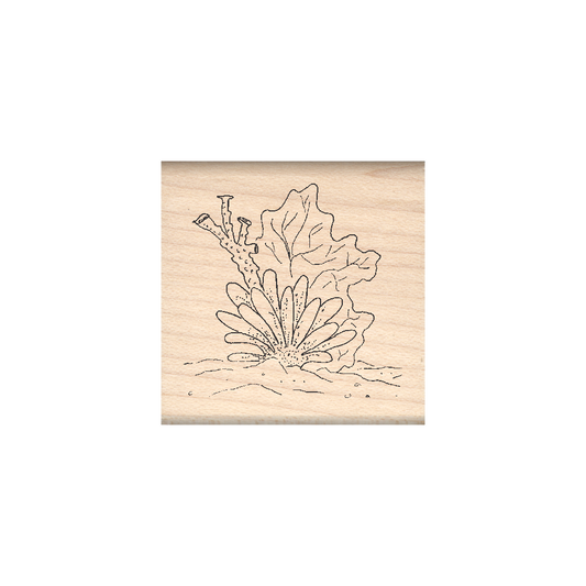 Coral Rubber Stamp 1.5" x 1.5" block
