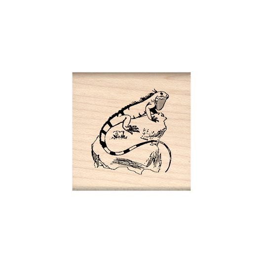 Iguana Rubber Stamp 1.5" x 1.5" block
