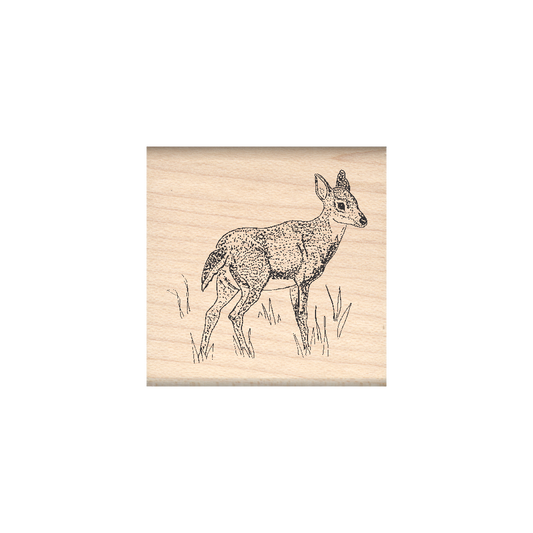 Doe Rubber Stamp 1.5" x 1.5" block