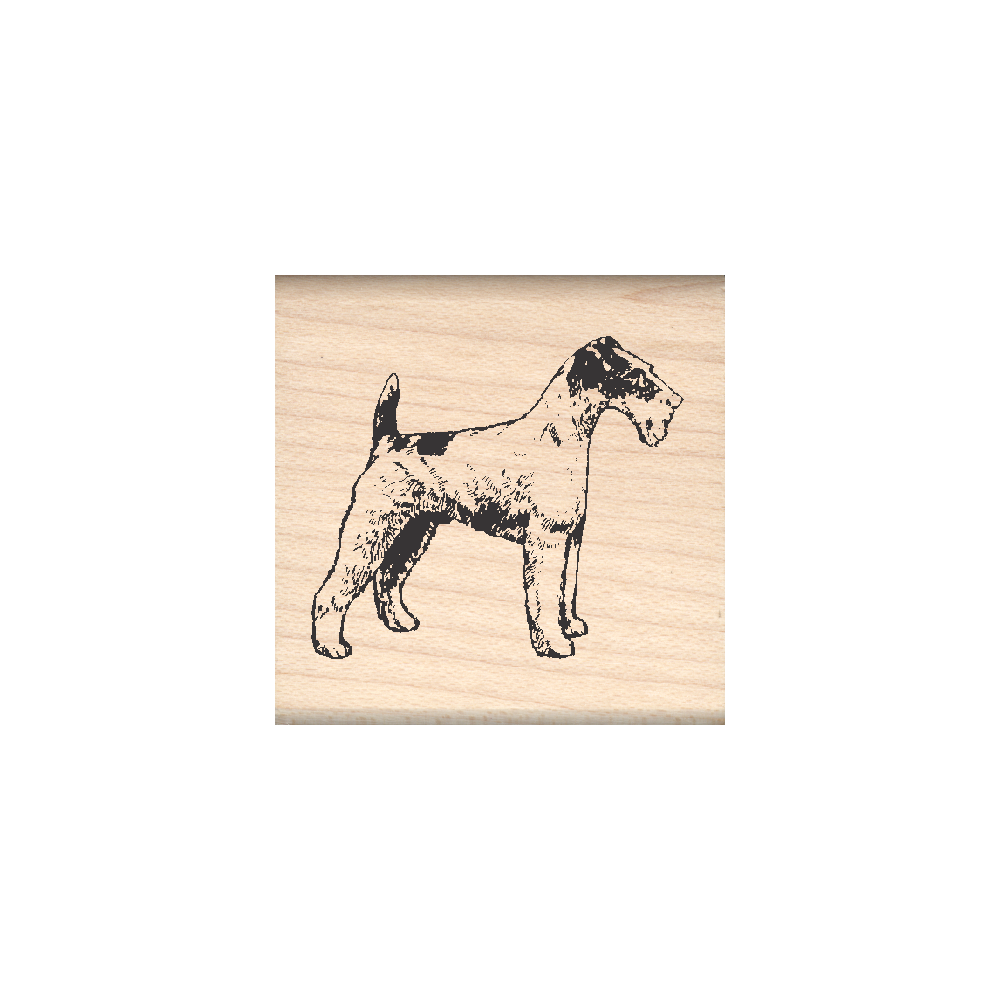 Wirehaired Terrier Rubber Stamp 1.5" x 1.5" block