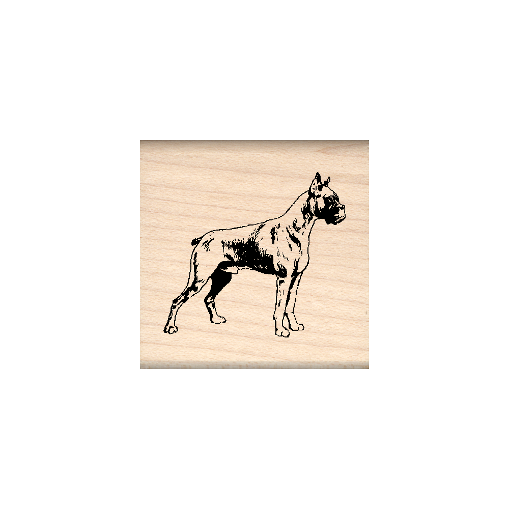 Boxer Rubber Stamp 1.5" x 1.5" block