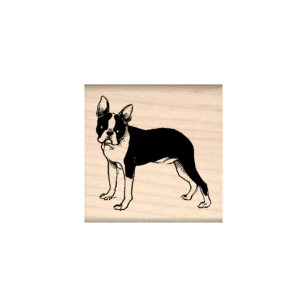 Boston Terrier Rubber Stamp 1.5" x 1.5" block