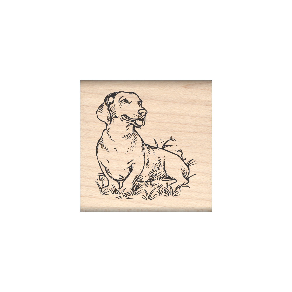 Dachshund Rubber Stamp 1.5" x 1.5" block