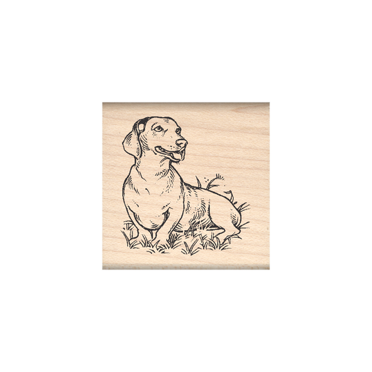 Dachshund Rubber Stamp 1.5" x 1.5" block