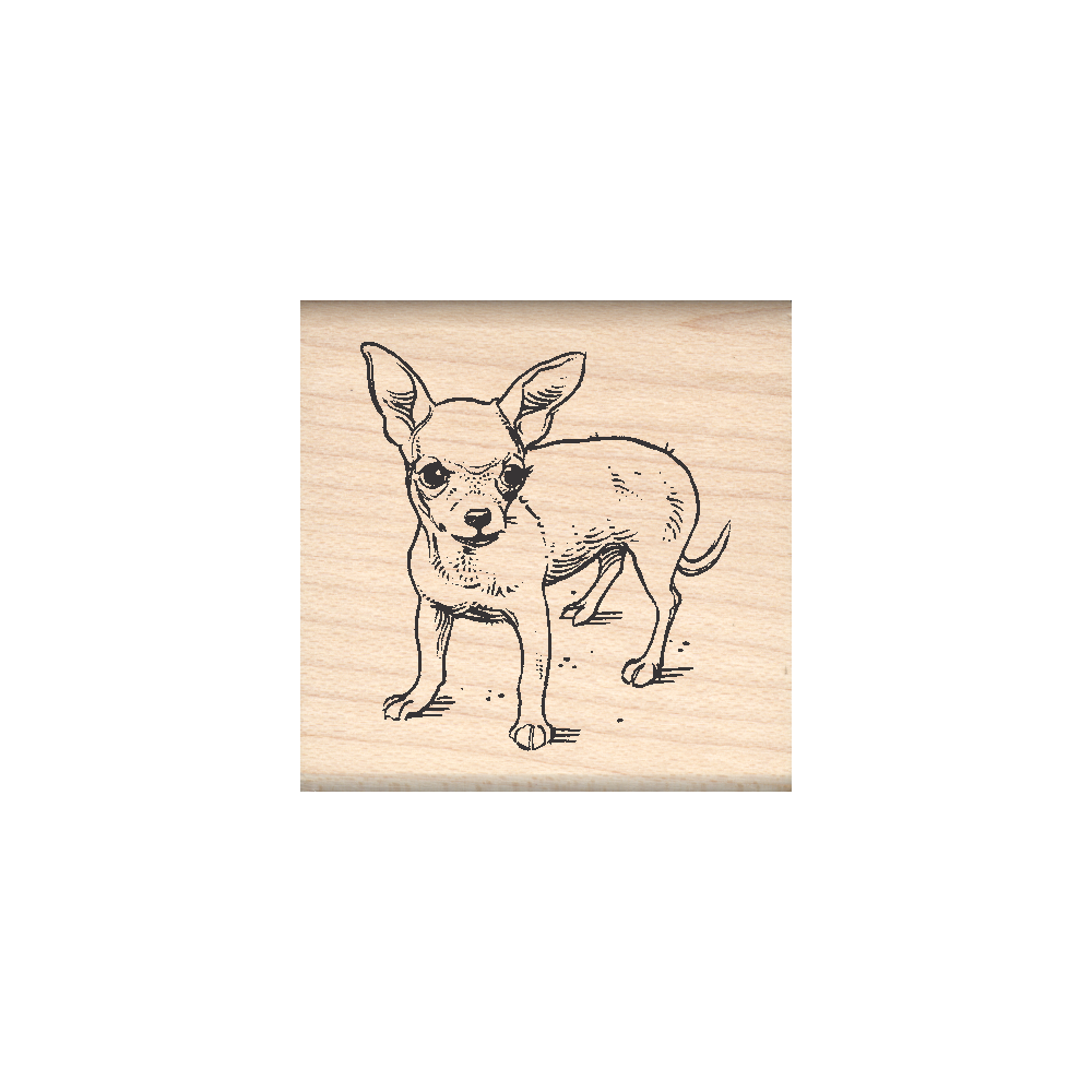 Chihuahua Rubber Stamp 1.5" x 1.5" block