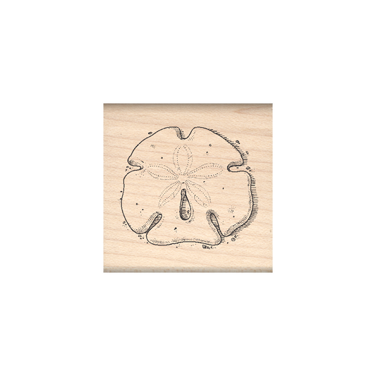Sand Dollar Rubber Stamp 1.5" x 1.5" block