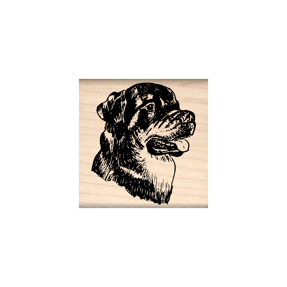 Rottweiler Rubber Stamp 1.5" x 1.5" block