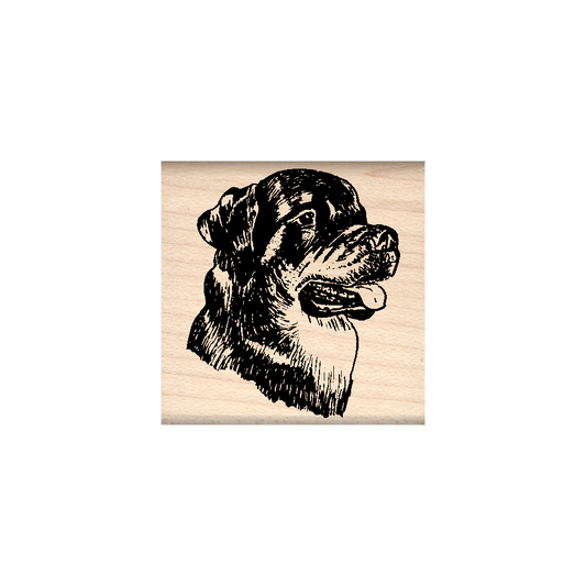 Rottweiler Rubber Stamp 1.5" x 1.5" block