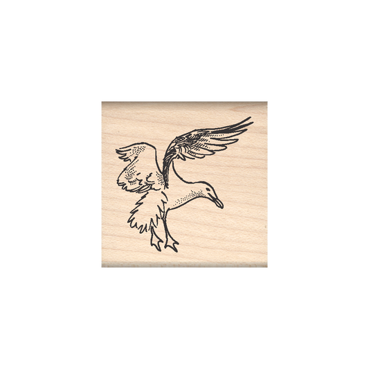 Seagull Rubber Stamp 1.5" x 1.5" block