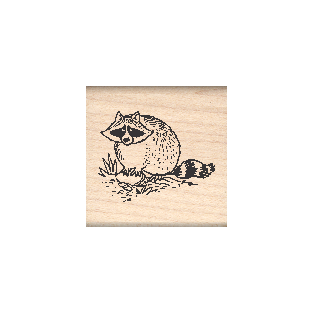 Raccoon Rubber Stamp 1.5" x 1.5" block