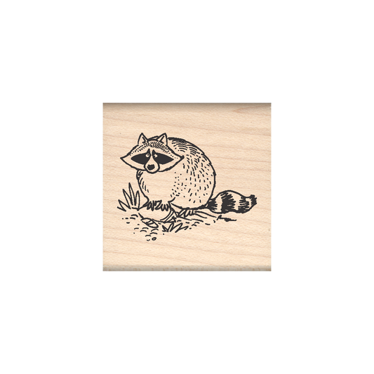 Raccoon Rubber Stamp 1.5" x 1.5" block