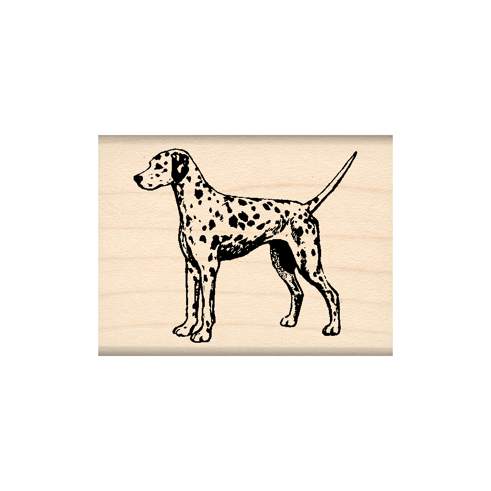 Dalmation Rubber Stamp 1.5" x 2" block