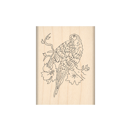 Parrot Rubber Stamp 1.5" x 2" block