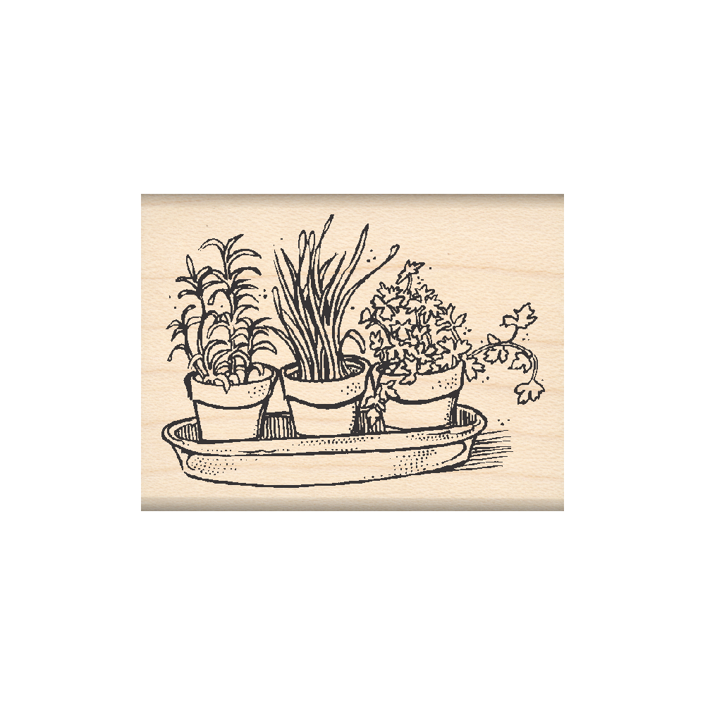 Herbs Rubber Stamp 1.5" x 2" block