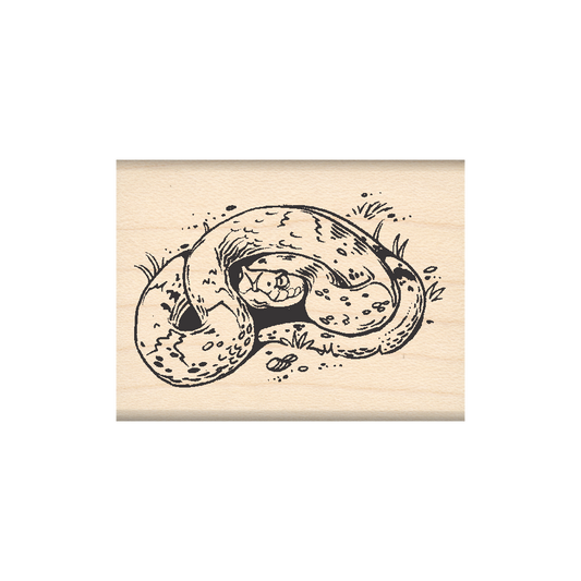 Rattlesnake Rubber Stamp 1.5" x 2" block