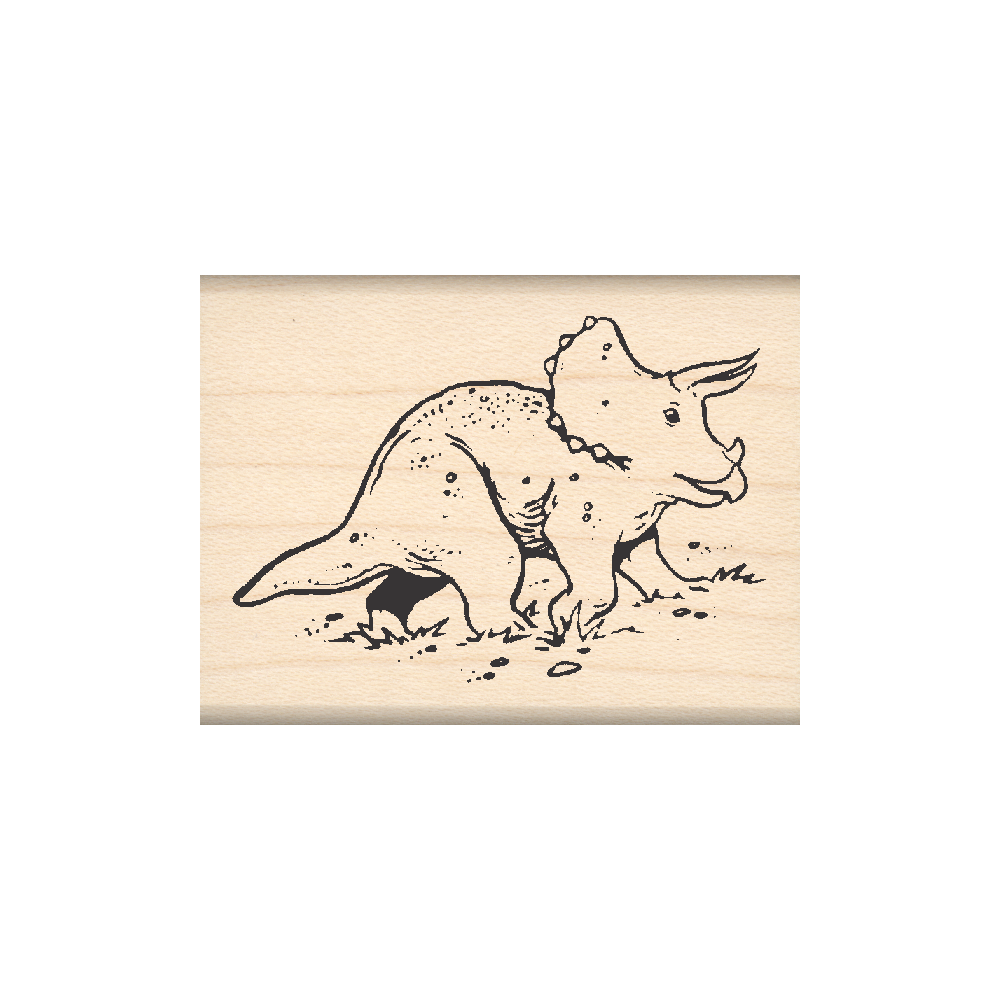 Dinosaur Rubber Stamp 1.5" x 2" block