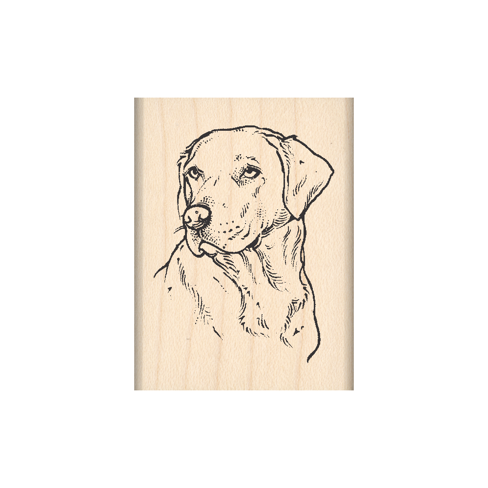 Yellow Labrador Rubber Stamp 1.5" x 2" block