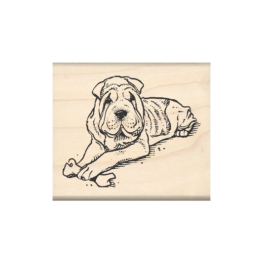 Chinese Shar-Pei Rubber Stamp 1.75" x 2" block