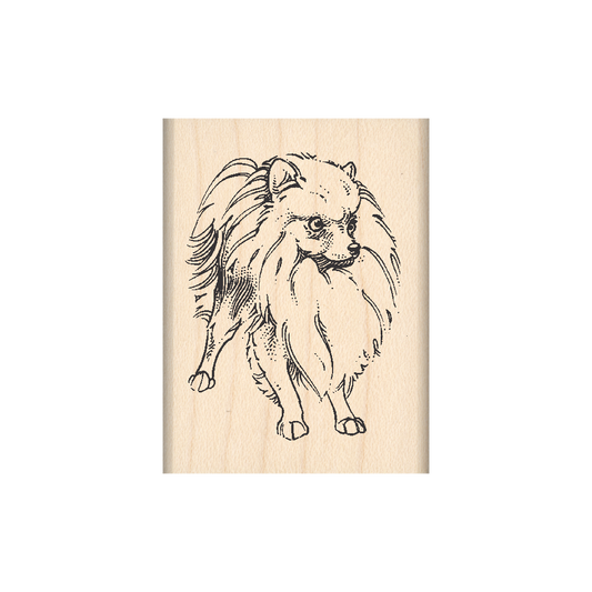Pomeranian Rubber Stamp 1.5" x 2" block