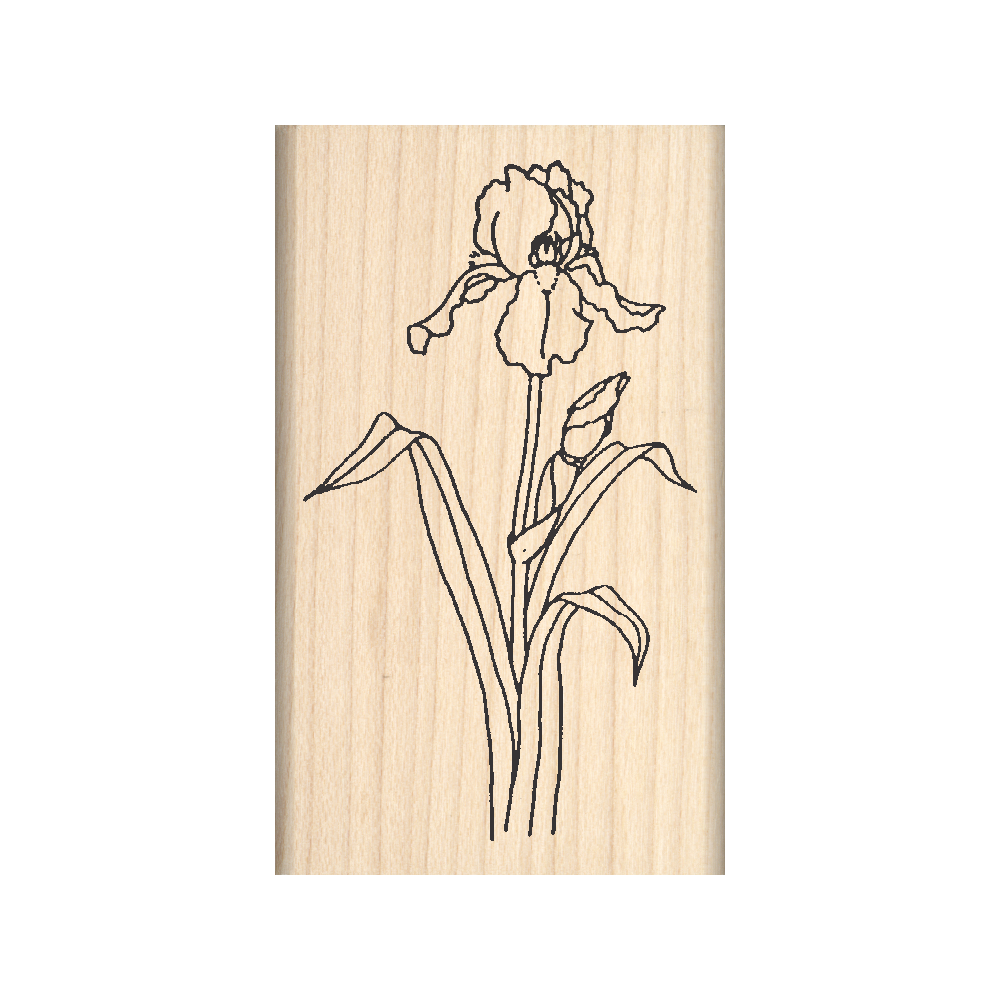 Iris Rubber Stamp 1.5" x 2.5" block