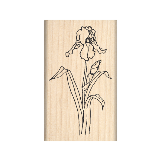 Iris Rubber Stamp 1.5" x 2.5" block
