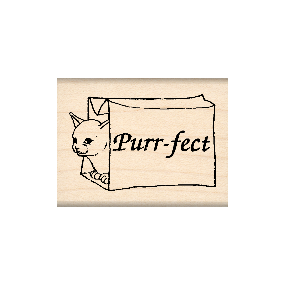 Purr-FECT Teacher Rubber Stamp 1.5" x 2" block