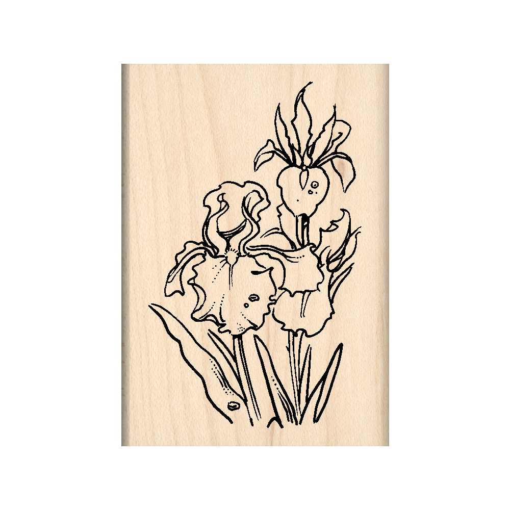 Orchids Rubber Stamp 1.75" x 2.5" block